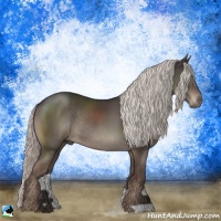 Horse Color:Liver Chestnut Mushroom Rabicano 