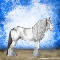 Horse Color:White Spotted Black 