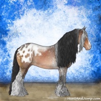 Horse Color:White Spotted Bay Sabino Blanket 