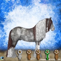Horse Color:White Spotted Chocolate Brown Chinchilla Ice Tobiano