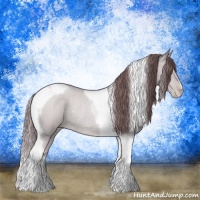 Horse Color:Chocolate Black Chinchilla Pearl Tobiano Rabicano 
