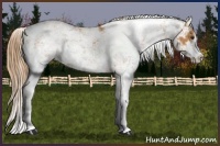 Horse Color:Chestnut Sabino