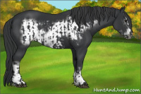 Horse Color:Black  and Black Frame 