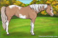Horse Color:Silver Bay Dun Sabino Tobiano Frame Rabicano 
