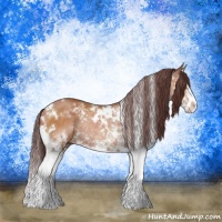 Horse Color:White Spotted Chocolate Brown Splash Rabicano 