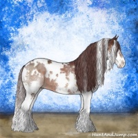 Horse Color:White Spotted Chocolate Brown Splash 