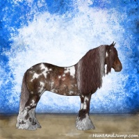 Horse Color:White Spotted Chocolate Brown Ice Rabicano