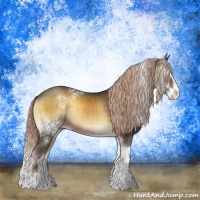 Horse Color:White Spotted Chocolate Palomino Onyx Sabino Splash Rabicano