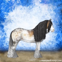 Horse Color:Buckskin Ice Onyx Sabino Rabicano