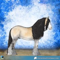 Horse Color:Buckskin Ice Onyx Sabino Rabicano 