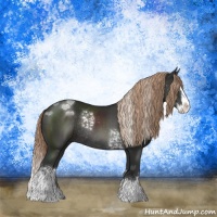 Horse Color:White Spotted Liver Chestnut Sabino Splash Rabicano