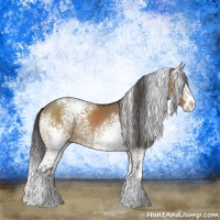Horse Color:White Spotted Buckskin Dun Splash Rabicano 