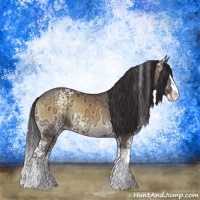 Horse Color:White Spotted Buckskin Ice Onyx Splash Rabicano 