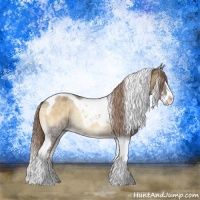 Horse Color:Chocolate Palomino Ice Onyx Sabino Splash Tobiano Rabicano