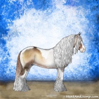 Horse Color:Liver Red Onyx Sabino Splash Tobiano Rabicano