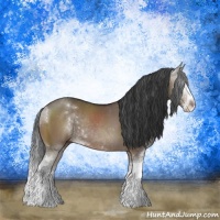 Horse Color:Brown Dun Sabino Rabicano