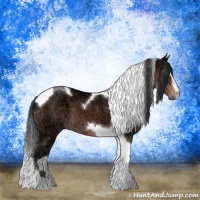 Horse Color:Brown Ice Sabino Tobiano 