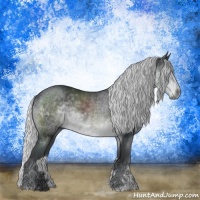 Horse Color:Silver Black Chinchilla Sabino Rabicano 