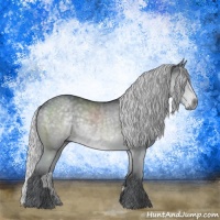 Horse Color:Silver Grullo Chinchilla Rabicano