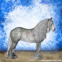 Horse Color:Silver Black Chinchilla 