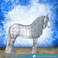 Horse Color:Plaid  Silver Brown Chinchilla Dun Sabino 
