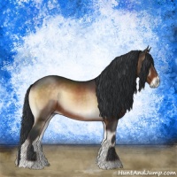 Horse Color:Brown Onyx Sabino