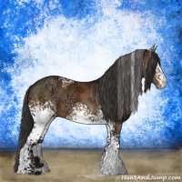 Horse Color:White Spotted Bay Ice Appaloosa