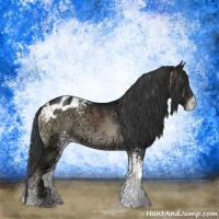 Horse Color:White Spotted Blue Onyx Ice Appaloosa 