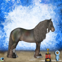 Horse Color:Liver Chestnut Mushroom Rabicano 