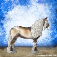 Horse Color:Liver Red Onyx Mushroom Appaloosa Rabicano 