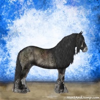Horse Color:Blue Onyx Ice
