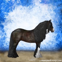 Horse Color:Brown Ice 