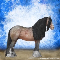 Horse Color:Brown Ice Sabino 