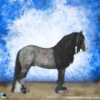 Horse Color:Black Ice Sabino Rabicano