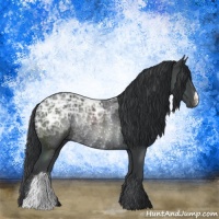Horse Color:Black Ice Rabicano 