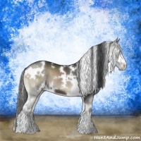 Horse Color:White Spotted Blue Onyx 