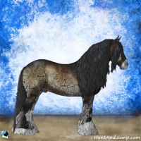 Horse Color:Brown Ice Onyx Rabicano 