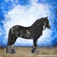 Horse Color:White Spotted Black Ice Sabino 