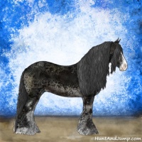 Horse Color:Blue Onyx Ice Sabino
