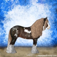 Horse Color:White Spotted Liver Chestnut Ice Splash Rabicano