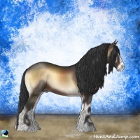 Horse Color:Brown Onyx Sabino