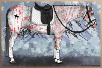 Horse Color:Black  and White Spotted Black 