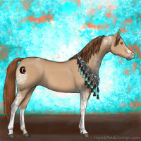 Horse Color:White Spotted Red Dun Rabicano 