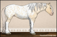 Horse Color:Gray Silver Amber Cream Champagne Roan Dun Splash Tobiano Frame Appaloosa Rabicano 