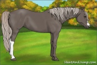 Horse Color:Silver Black 