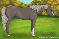 Horse Color:Silver Black 