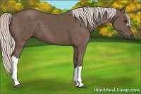 Horse Color:Silver Black 