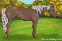 Horse Color:Silver Black 