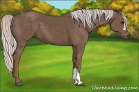 Horse Color:Silver Black 