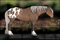 Horse Color:Silver Black Blanket Rabicano 